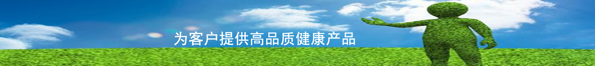 技術(shù)服務(wù)